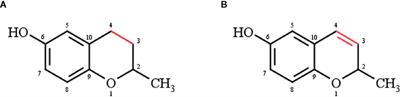 Diversity of Chromanol and Chromenol Structures and Functions: An Emerging Class of Anti-Inflammatory and Anti-Carcinogenic Agents